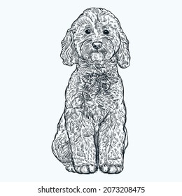 Vintage hand drawn labradoodle puppy svg
