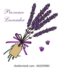 Vintage hand drawn lavender vector illustration isolated on white background. Engraving illustration.  Lavender herbal bouquets and label in vintage style