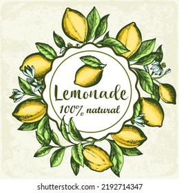 Vintage hand drawn lemonade label with citrus branch. Vector illustration.