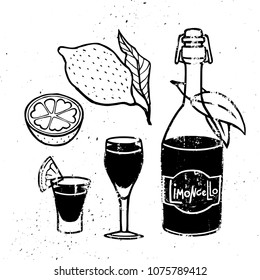 Vintage hand drawn limoncello drink concept with lemon full shot glass bottle in grungy style isolated vector illustration