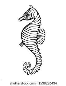 vintage hand drawn line art seahorse engraved vector illustration