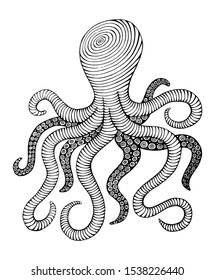 vintage hand drawn line art octopus engraved vector illustration