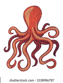 vintage hand drawn line art octopus engraved color vector illustration