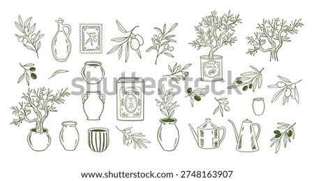 Vintage hand drawn linear olive tree branches with leaves, ceramic pots and vases and olive oil icons and logos. Minimalist retro vector illustration. Stock photo © 