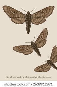Vintage Hand Drawn Moth Illustration with Inspirational Quote – Insect wall art printable poster