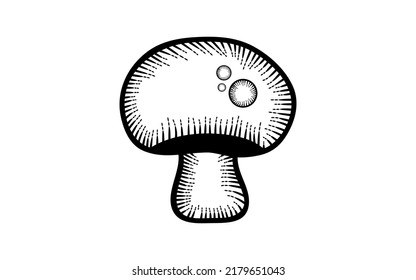 Vintage hand drawn mushroom vector