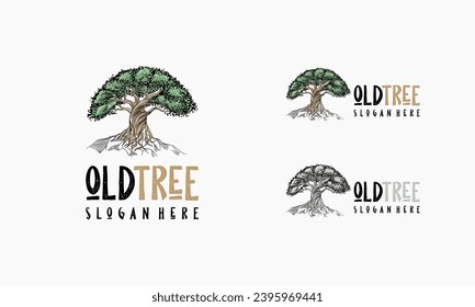 Vintage hand drawn oak Tree illustration Logo Design Inspiration, Old tree logo template