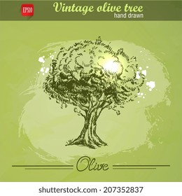 Vintage hand drawn olive tree on watercolor grunge background