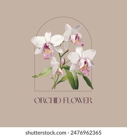 Klassische handgezeichnete Orchideenblume in einer Bogenrahmen-Vektorillustration. Diese Illustration zeigt ein wunderschönes handgezeichnetes Orchideenblütenset innerhalb eines eleganten Bogenrahmens.