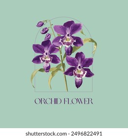 Vintage handgezeichnete Orchideenblume in einem Bogenrahmen. Vektorgrafik. Diese Illustration zeigt eine schöne handgezeichnete Orchideenblume in einem eleganten Bogenrahmen.