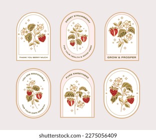 Vintage hand drawn organic strawberry plant and floral sticker label collection with quotes for food products, nature objects, reminders, aesthetic decoration, retro vector illustration elements