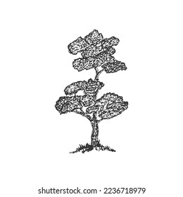 Vintage hand drawn pen sketch illustration of tree. Big tree drawing evctor logo design concept illustration.