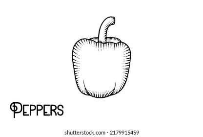 Vector de pimientos dibujados a mano