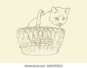 Vintage hand drawn realistic sketch of cat sitting in a basket.