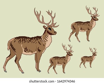 Vintage hand drawn reindeer. vector