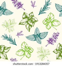 Vintage hand drawn seamless pattern with Provencal spices and herbs. Decorative floral vector background.