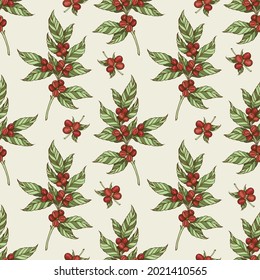 Vintage hand drawn seamless pattern with coffee plant and coffee beans. Vector illustration