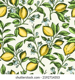 Vintage handgezeichnet nahtlose Muster mit Zitronenzweig. Vektorhintergrund. 