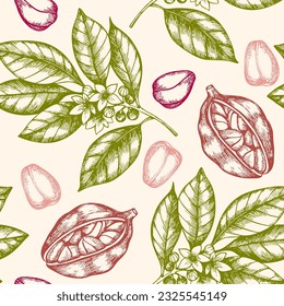 Vintage hand drawn seamless pattern with cola nuts. Vector illustrations.