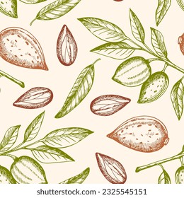 Vintage hand drawn seamless pattern with almond nuts. Vector illustrations.