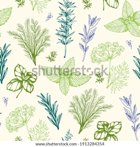 Vintage hand drawn seamless pattern with Provencal spices and herbs. Decorative floral vector background.