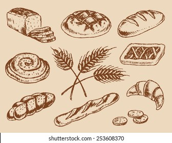 Vintage hand drawn set of bakery, vector illustration, sketch