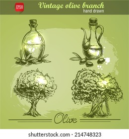 Vintage hand drawn set of olive tree and bottle. Sketch style. Watercolor grunge background.