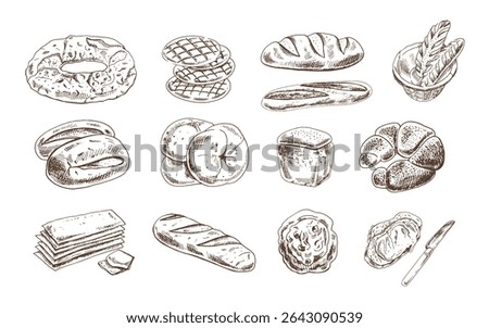 Vintage hand drawn set of various bakery items including bread, buns, baguettes, pastries and a knife. Monochrome engraved style, perfect for bakery packaging, labels, menus, and culinary projects.