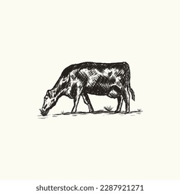 vintage hand drawn silhouette illustration of a cow eating grass. grunge vector