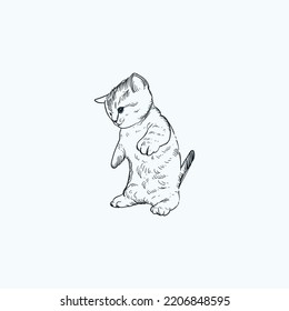 Vintage hand drawn sketch baby cat kitten