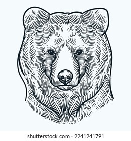 Vintage hand drawn sketch bear head