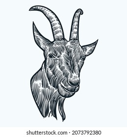 Vintage hand drawn sketch billy goat head