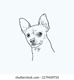 Vintage hand drawn sketch chihuahua dog