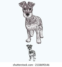 Vintage hand drawn sketch colored after grooming puppy