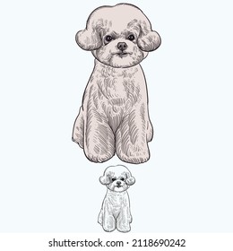 Vintage hand drawn sketch colored after grooming puppy