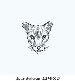 Vintage hand drawn sketch Cougar montain lion head