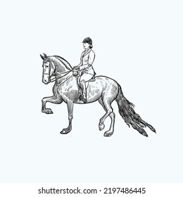 Vintage hand drawn sketch dressage horse riding sport