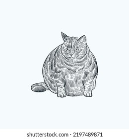 Vintage hand drawn sketch fat cat