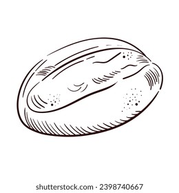 Vintage hand drawn sketch fresh style bakery set. Bread, cream roll tube, eclair on white background.