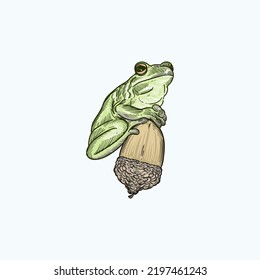 Vintage Hand Drawn Sketch Frog On Oak Fruit Colored