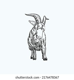 Vintage hand drawn sketch goat of Thor
