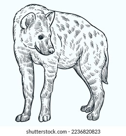 Vintage hand drawn sketch hyena