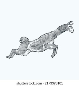 Vintage hand drawn sketch jumping llama