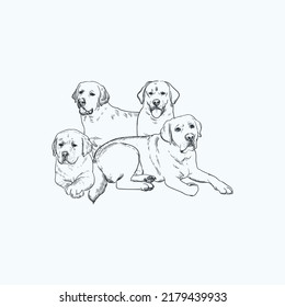 Vintage hand drawn sketch Labrador retrievers
