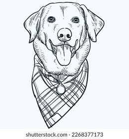 Vintage hand drawn sketch Labrador Retriever