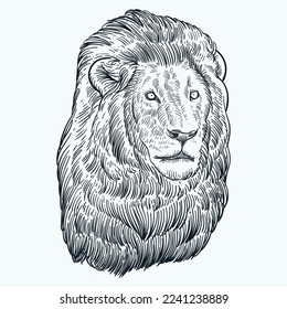 Vintage hand drawn sketch lion head