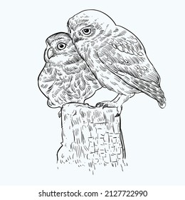 Vintage hand drawn sketch owl