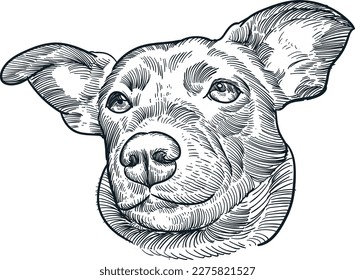 Vintage hand drawn sketch Patterdale Terrier head