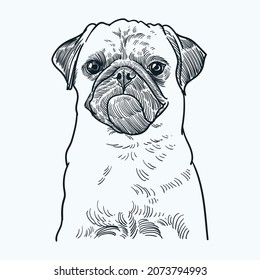 Vintage hand drawn sketch pug dog