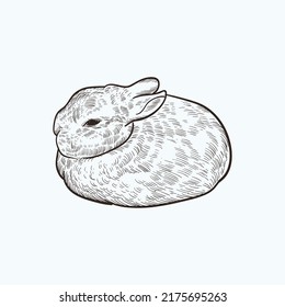 Vintage Hand Drawn Sketch Rabbit